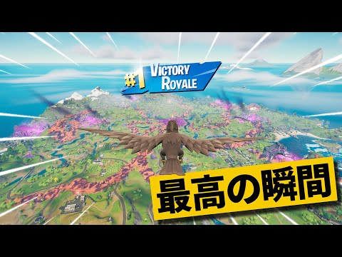 【最高の瞬間40選】最後の敵がカラスなんだけどｗ神業面白プレイ最高の瞬間！【Fortnite/フォートナイト】