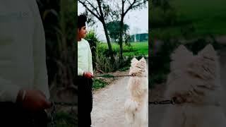 Navraj Mann Vlogs Subscribe karo...