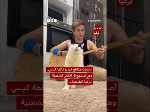 تأمل وشغف بالأغاني الشعبية