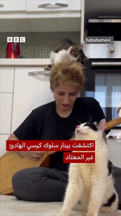      
 - نشر قبل 21 دقيقة