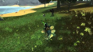 Everquest 2- a walk/glide by the Druid Port- Antonica