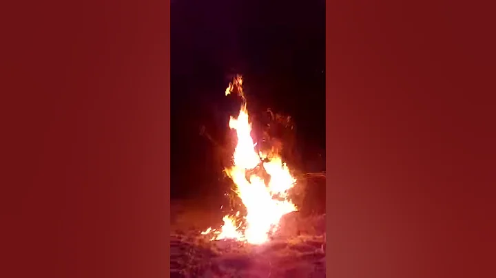 Joshua's burning bush