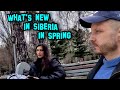 What happens in Siberia in the spring. My News