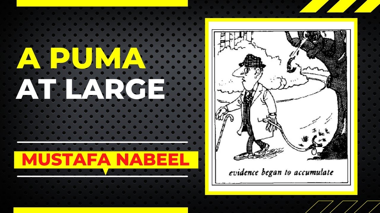 مادة الأستيعاب للمرحلة الاولى Puma at large || ترجمة القطعة وحل التمارين