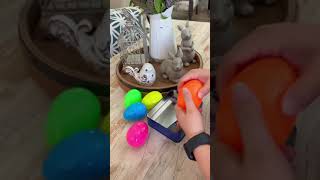 Easter egg hunt with dogs!