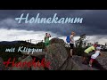 Im Hochharz unterwegs - Hohnekamm mit Klippen