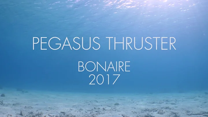 Pegasus Thruster Bonaire 2017 by Robin Dodd