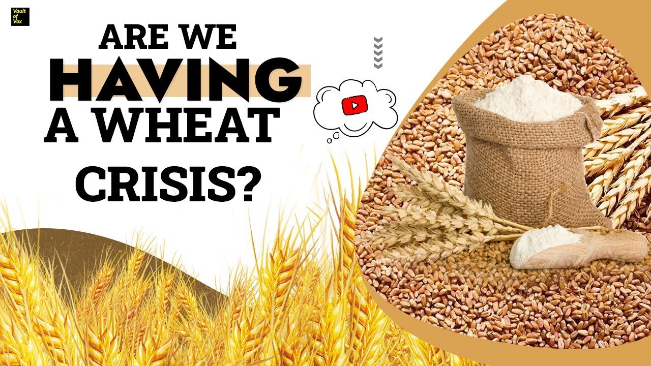 Are we having a wheat crisis ? | Wheat crisis is global now  ?? | Vault Of Vo