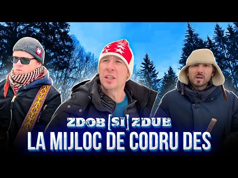 Zdob Și Zdub - La Mijloc De Codru Des