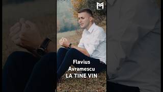 Flavius Avramescu - La Tine vin #cantaricrestine #muzicacrestina #godisgood #MesajTV #god #music