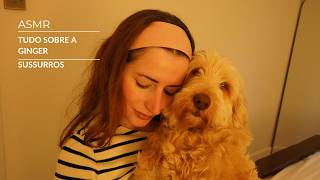 ASMR: Tudo sobre o lar temporário da Ginger - Sussurros | SOLANGE PRATA