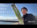 岩津ねぎの販売が始まりました。2025/12/6