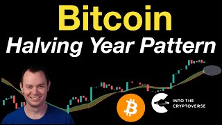 Bitcoin: Early Halving Year Pattern (Update)
