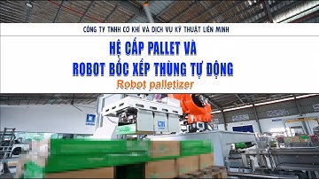 HỆ CẤP PALLET VÀ ROBOT BỐC XẾP THÙNG TỰ ĐỘNG