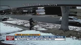 Video: Thief grabs package off porch