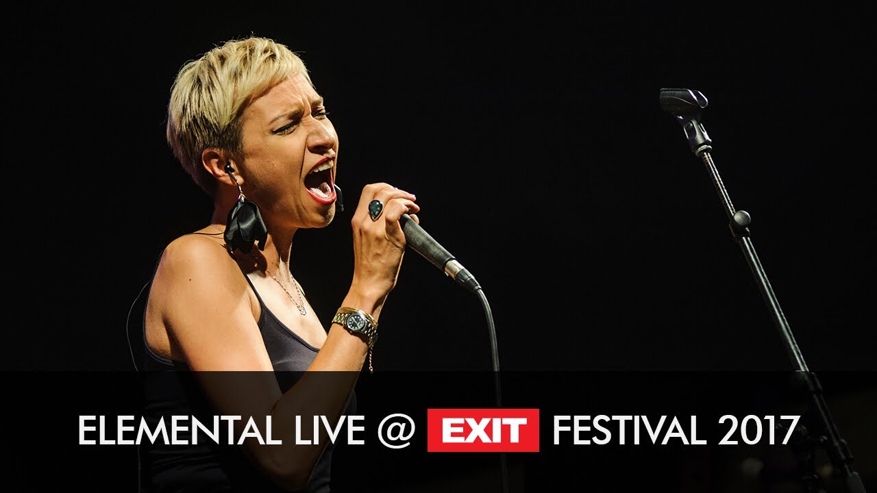exit festival wiki EXIT 2017 | Elemental Priroda i Društvo Live @ Fusion Stage