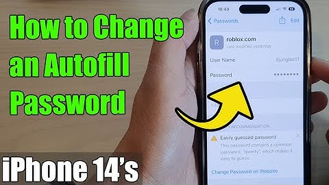 iPhone 14/14 Pro Max: How to Change an Autofill Password