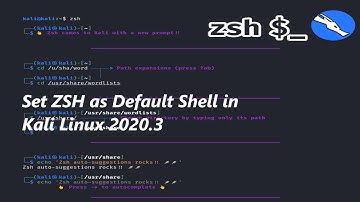 how to make zsh default shell in Kali linux