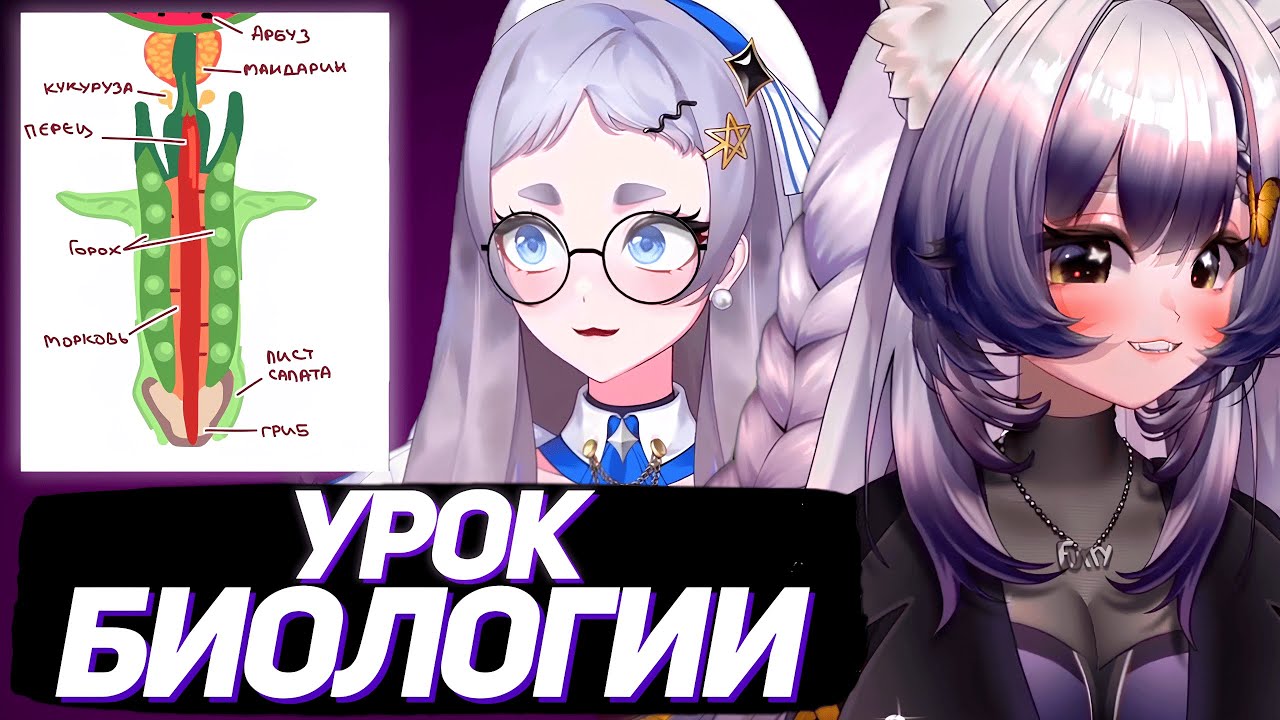 КАМЫШ и РЕРА ПРОСВЕЩАЮТ ЗРИТЕЛЕЙ СВОИМИ ЗНАНИЯМИ | Моменты Камыша