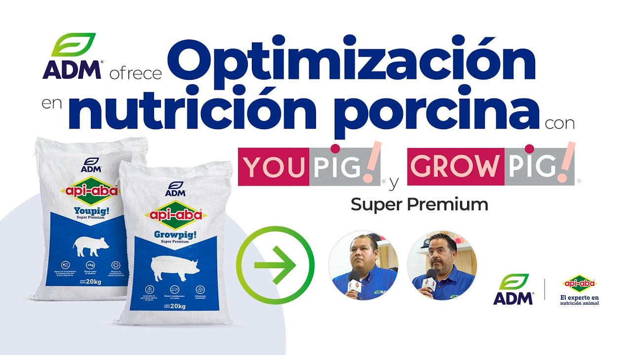 Con Youpig! y Growpig! Super Premium, ADM ofrece optimización en nutrición porcina