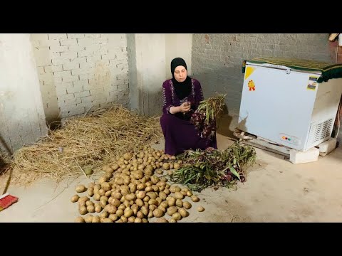 اللى يعيش ياما يشوف ايجو عليا كتير وكان لازم اقف فى وش الكل روتين من الفجربه مليت بيتى خير سترك يارب