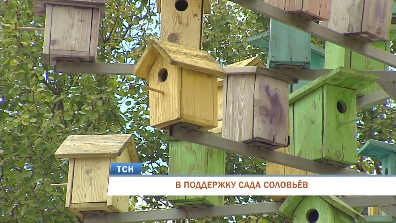 Соловей в саду. Портал соловьева 15 пермь. Трухлявый заповедник сад соловьев. Соловей поет. Улица соловьева 15 пермь.