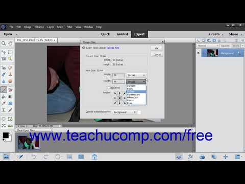 Photoshop Elements 2019 Tutorial Changing the Canvas Size Adobe Training