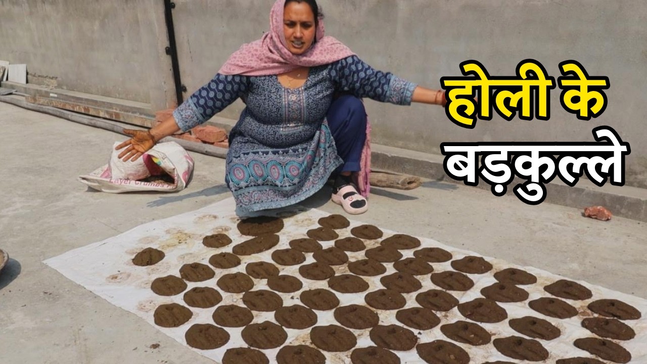 एक तसला गोबर में बन गए इतने सारे बड़कुल्ले || Holi Special || Pal Family Vlogs