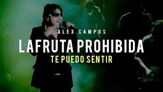 La fruta prohibida (Te puedo sentir) - Alex Campos y @DRPMINISTRYOFFICIAL| Audio chords