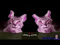 Preview 2 Meow Mix Commercial Effects Preview 2 5x30 5Min Day Effects Preview 2 Meow Mix Commercial Effects Preview 2 5x30 5Min Day Effects