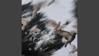 南飞的候鸟不眷恋北方的天空