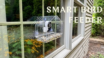 Smart Bird Feeder with Camera | 2K HD Live View + AI Bird ID | Window Bird Feeder