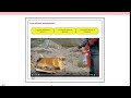 Model curs / conținut instruire: alegere și utilizare | SafeTraining