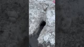 Winter Drain Unclog #2