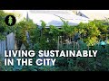 Sustainable city living on 110th of an acre  degrowth in the suburbs