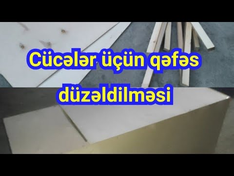 Video: Gerbilə necə qulluq etmək olar: 14 addım (şəkillərlə)