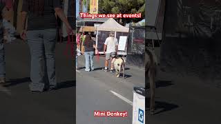 Things we See at Events! Phelan Phamily Phun Days  #wyndwolfpuppets #minidonkey #createyourlife