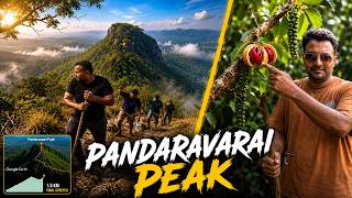 Trekking 7km Into Restricted Tiger Reserve Core Area!   🥾 Pandaravarai Peak  || Ep.4