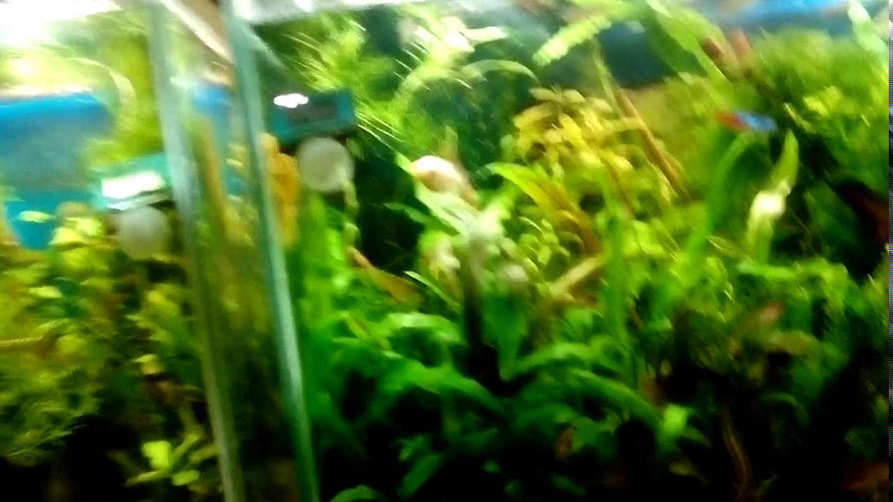 Как научиться спать с открытыми глазами Как научиться спать с открытыми глазами