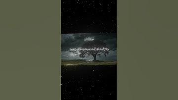 سورة الإنسان|18-22|القارئ:#محمد_اللحيدان #قران #quran #راحة_نفسية #قران_كريم#تلاوة_هادئة#تلاوة_خاشعة