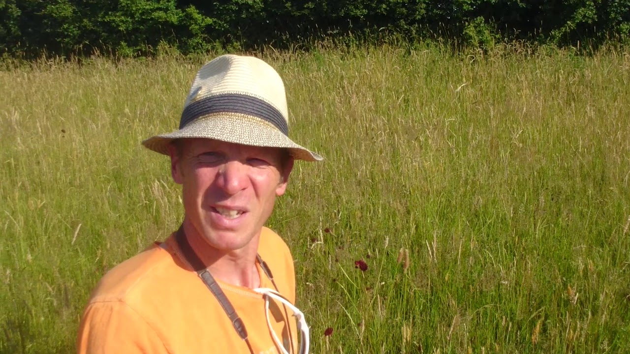 The Long Field - its economic value 1