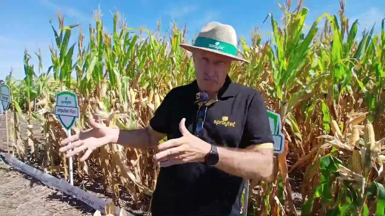 Nutrición, Sanidad y Tecnologías: Se desarrollo el 2do. Field Day de Spraytec en 9 de Julio