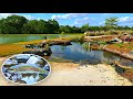 Adding Baby Rainbow Trout to the 5 Acre Pond!