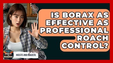 Is Borax As Effective As Professional Roach Control? - Insects and Invaders