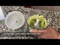 Homemade Ginger Garlic Chilli Paste Recipe | Ginger-Garlic Paste Recipe | Indian Ingredients