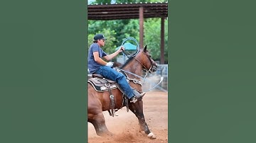 Don’t blink! #fast #time #roping #teamroping #horses #steer #ropeclub #arena #practice