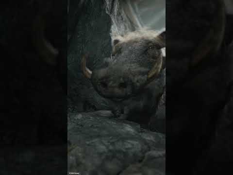 Timon & Pumbaa