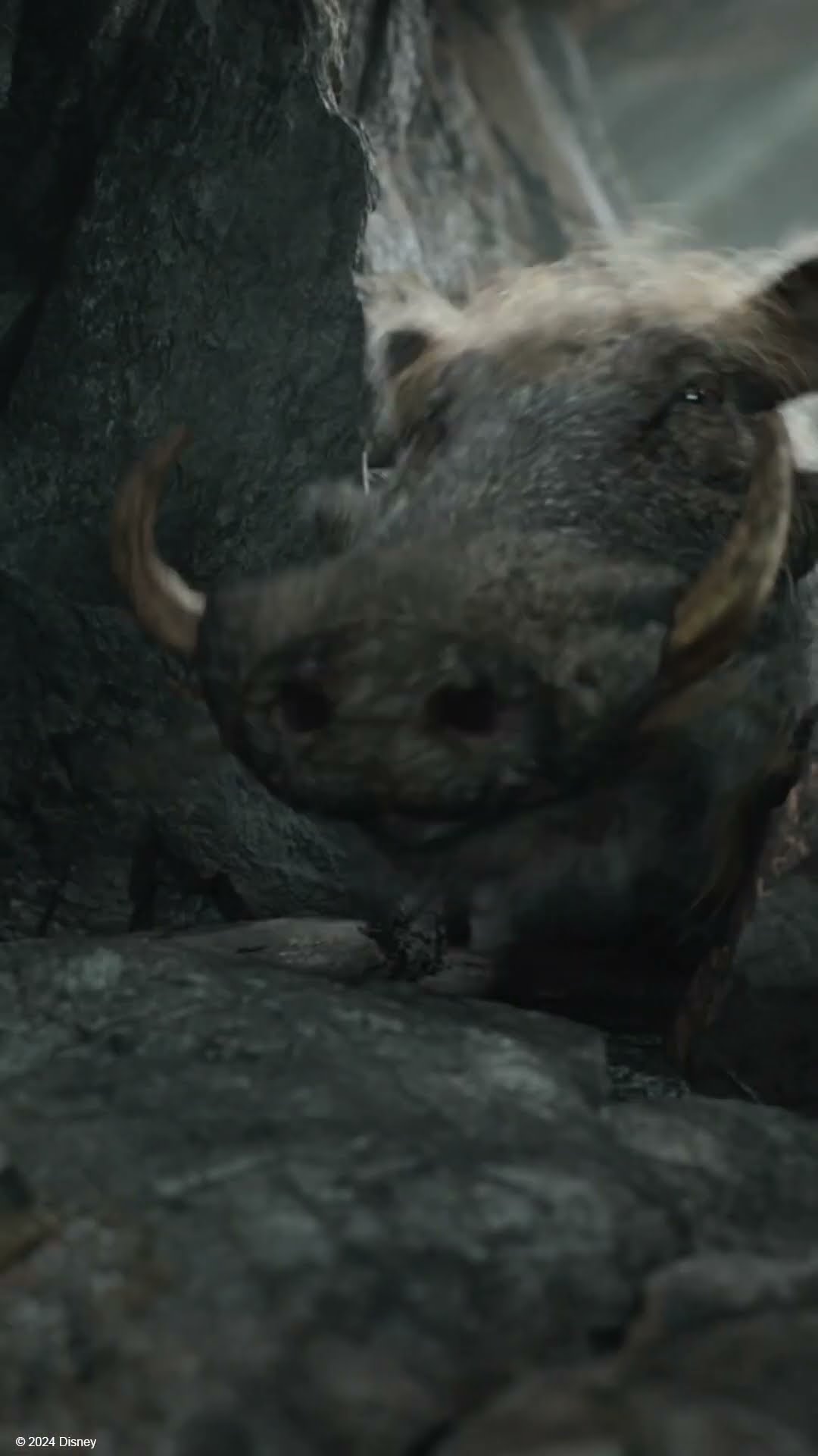 Timon \u0026 Pumbaa Cheer Up Kiara! ? | Mufasa: The Lion King | Disney Kids