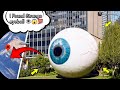 I Found Eyeboll 👁️😱🌍 on google maps and google earth 🌎#earth #googleearth #map #viral