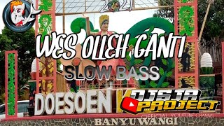 wes Oleh Ganti  Dj Sjr Project  Slow Bass